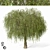 Giant Tree Model - 1150cm 3D model small image 1