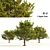 3D Apple Tree Models Set 3D model small image 1