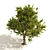 3D Apple Tree Models Set 3D model small image 4