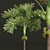 Exotic Garden Fruit 3D Models 3D model small image 2