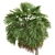 Exotic Garden Fruit 3D Models 3D model small image 3