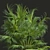 Exotic Garden Fruit 3D Models 3D model small image 4