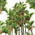 Lipstick Palm 3D Plant Model 3D model small image 4
