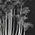 Lipstick Palm 3D Plant Model 3D model small image 5