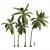 Coconut Tree 3D Models Pack 3D model small image 1