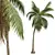 Coconut Tree 3D Models Pack 3D model small image 2