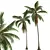 Coconut Tree 3D Models Pack 3D model small image 3