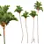 Lipstick Palm 3D Plant Model 3D model small image 1