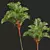 Lipstick Palm 3D Plant Model 3D model small image 2