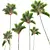 Lipstick Palm 3D Plant Model 3D model small image 4