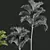 Lipstick Palm 3D Plant Model 3D model small image 5