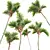 Lipstick Palm 3D Plant Model 3D model small image 3