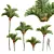 Red Sealing Wax Palm Model 3D model small image 1