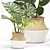 Greenery Essence 3D Indoor Plant 3D model small image 2