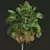 Tropical Palms 3D Models Bundle 3D model small image 3