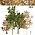 London Plane Street Trees Collection 3D model small image 1