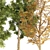 London Plane Street Trees Collection 3D model small image 2