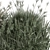 Assorted Bush Variety Collection 94 3D model small image 2