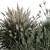 Assorted Bush Variety Collection 94 3D model small image 3