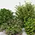BUSH Collection 31 File Set 3D model small image 2