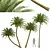 Silver Date Palm 3D Models 3D model small image 1