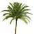 Silver Date Palm 3D Models 3D model small image 2