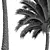 Silver Date Palm 3D Models 3D model small image 5