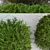 Modern Bush Collection 3D Model 3D model small image 4