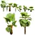 Fiji Fan Palm 3D Model 3D model small image 1
