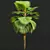 Fiji Fan Palm 3D Model 3D model small image 2