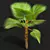 Fiji Fan Palm 3D Model 3D model small image 3