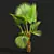 Fiji Fan Palm 3D Model 3D model small image 4