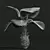 Fiji Fan Palm 3D Model 3D model small image 5