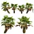 Detailed Pritchardia Pacifica Small Plant 3D model small image 1