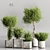 Modern Indoor Plant Collection Set 3D model small image 1