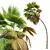 Exquisite Pritchardia Pacifica Plant 3D 3D model small image 5