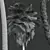 Exquisite Pritchardia Pacifica Plant 3D 3D model small image 6