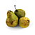 Fresh Russian Pears Juicy Sweet 3D model small image 2