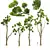 Title: Camphor Tree 3D Decor Model 3D model small image 1
