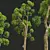 Title: Camphor Tree 3D Decor Model 3D model small image 3