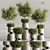Modern Indoor Plant Collection Set 3D model small image 1