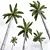 Royal Palm Plant 3D Models 3D model small image 3