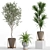 Greenery Assortment 748 3D model small image 2