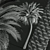 Silver Date Palm Phoenix Sylvestris 3D model small image 4