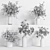 Exquisite Indoor Plant Collection Vol03 3D model small image 7