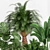 Tropical Plants 3D Models Set 3D model small image 2