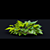Fragrant Viola Bushes Bundle 3D model small image 6