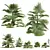 Exotic Saribus Rotundifolius 3D Models 3D model small image 1