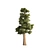 Mini Redwoods Cluster 3D Model 3D model small image 4