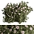 White Flower Bush Set 92 3D model small image 1